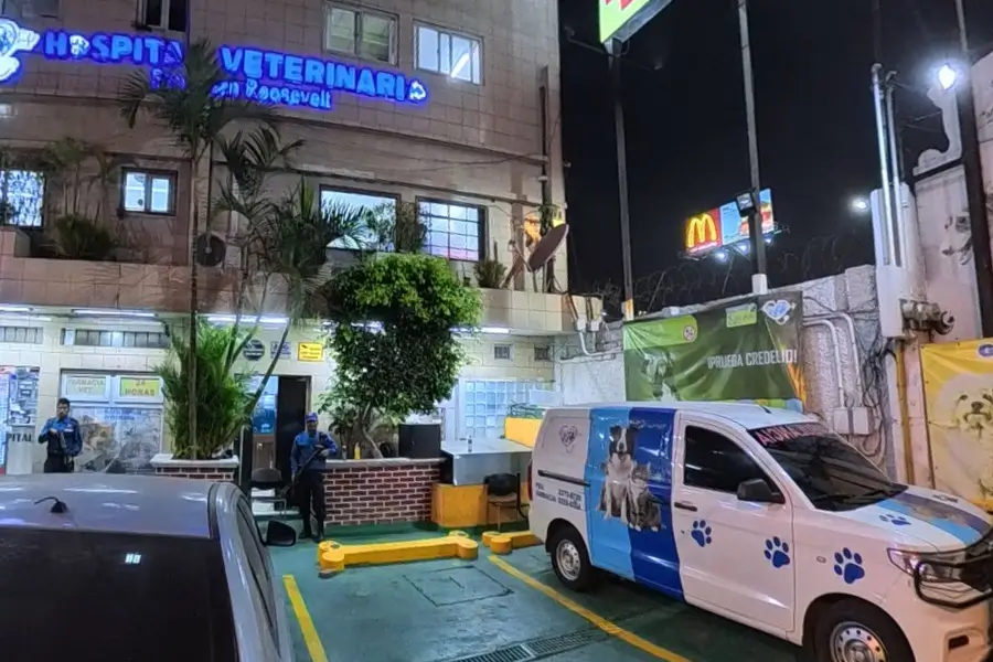 Hospitalización Hospitalización