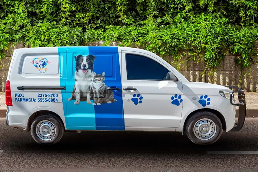Ambulancia