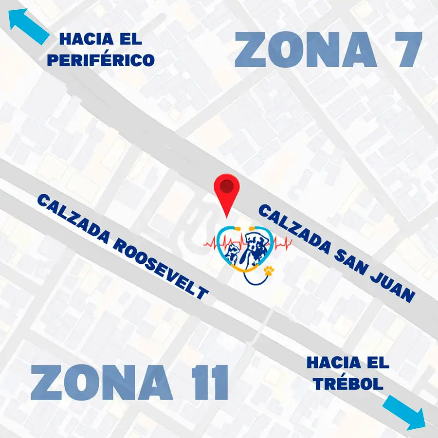 Ubicación Ubicación